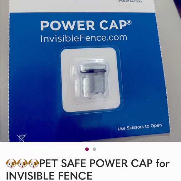 Invisible Fence Power Cap for Dogs - Silver - Picture 1 of 1
